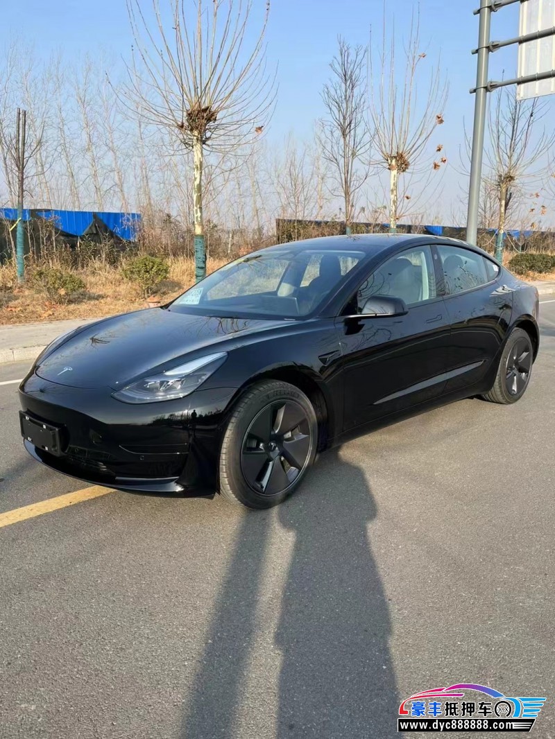 23年特斯拉MODEL 3轿车抵押车出售