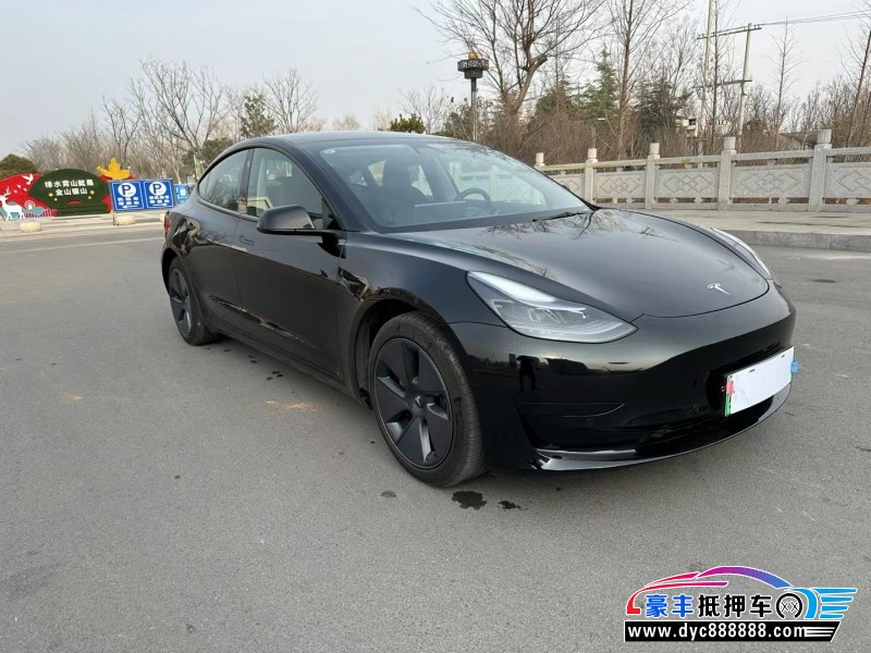 21年特斯拉MODEL 3轿车抵押车出售