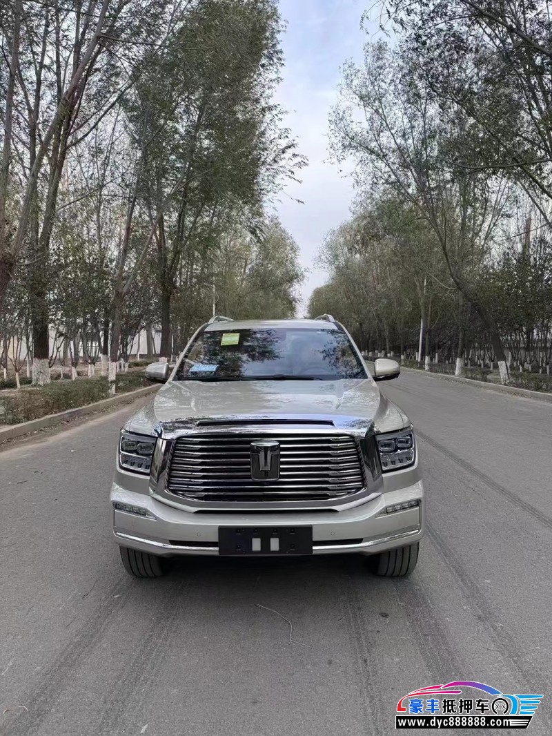 23年WEY坦克500轿车抵押车出售