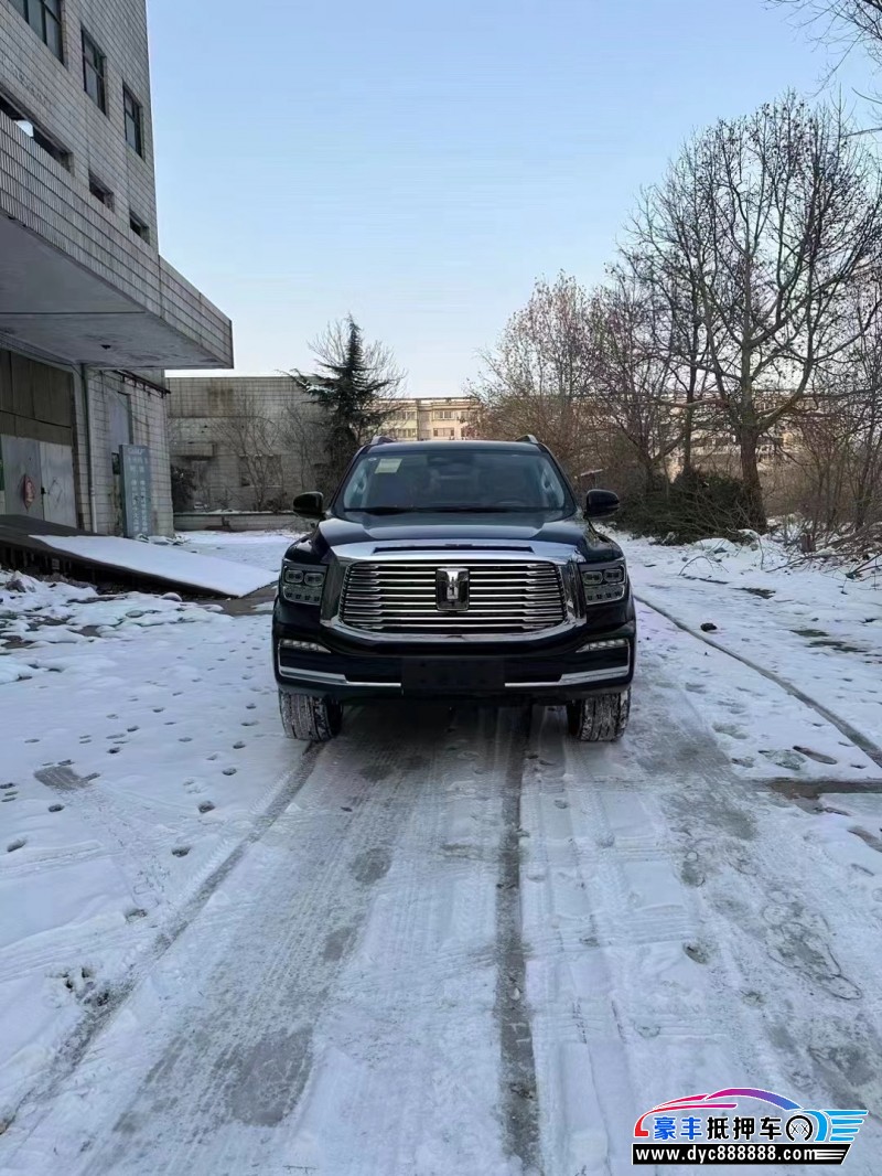 24年WEY坦克500轿车抵押车出售