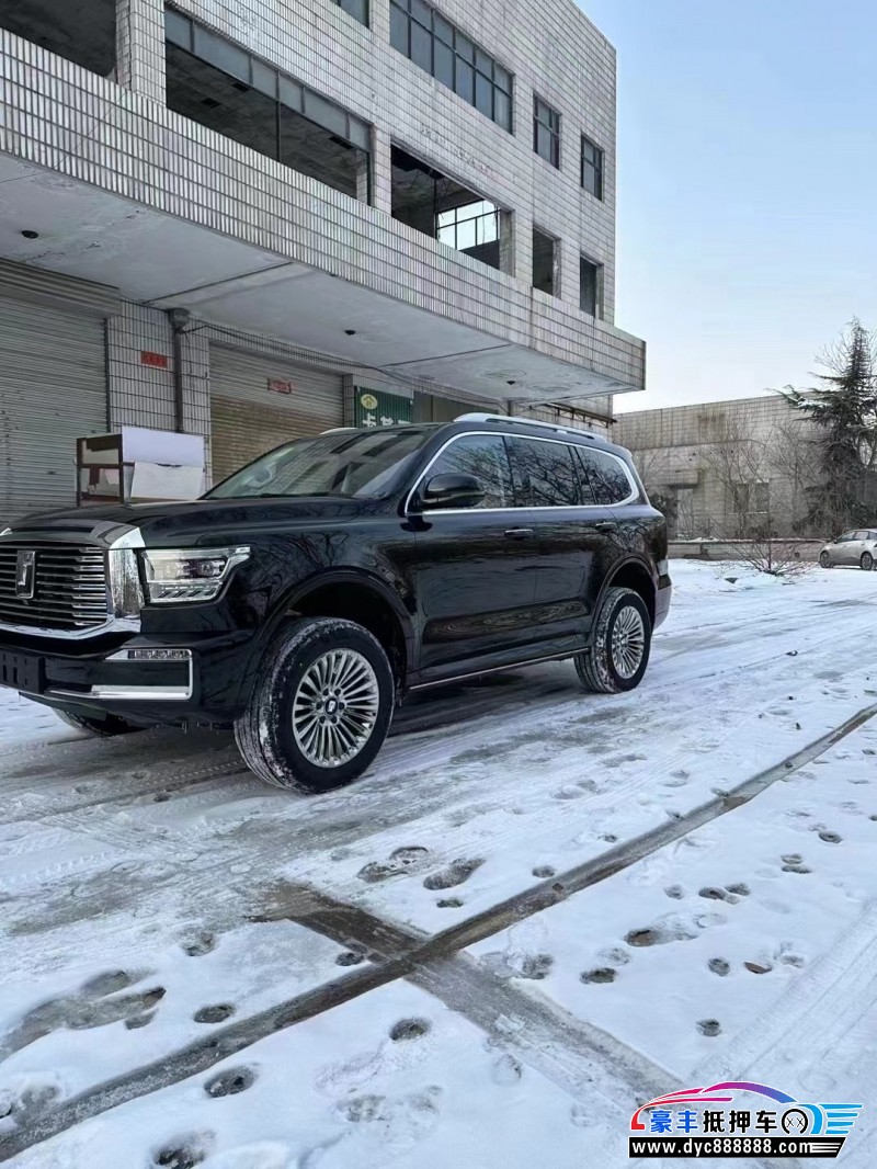 24年WEY坦克500轿车抵押车出售