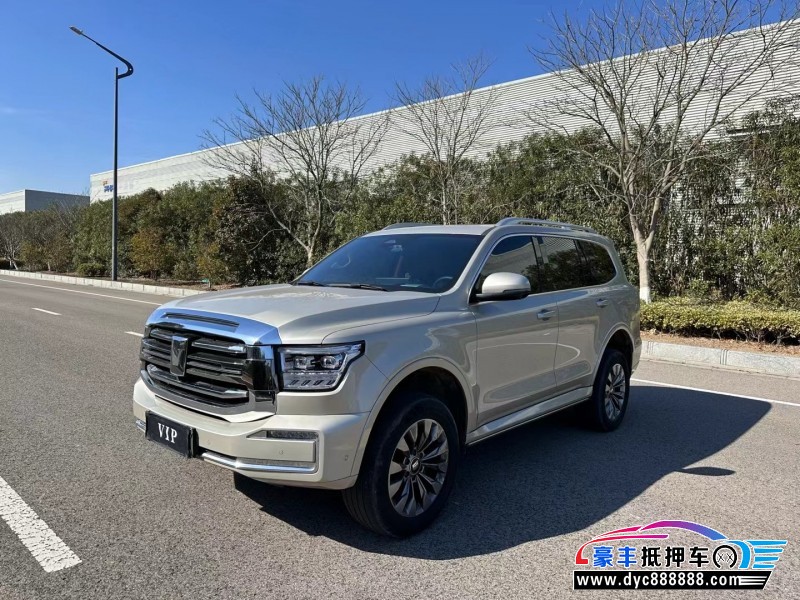 23年WEY坦克500轿车抵押车出售