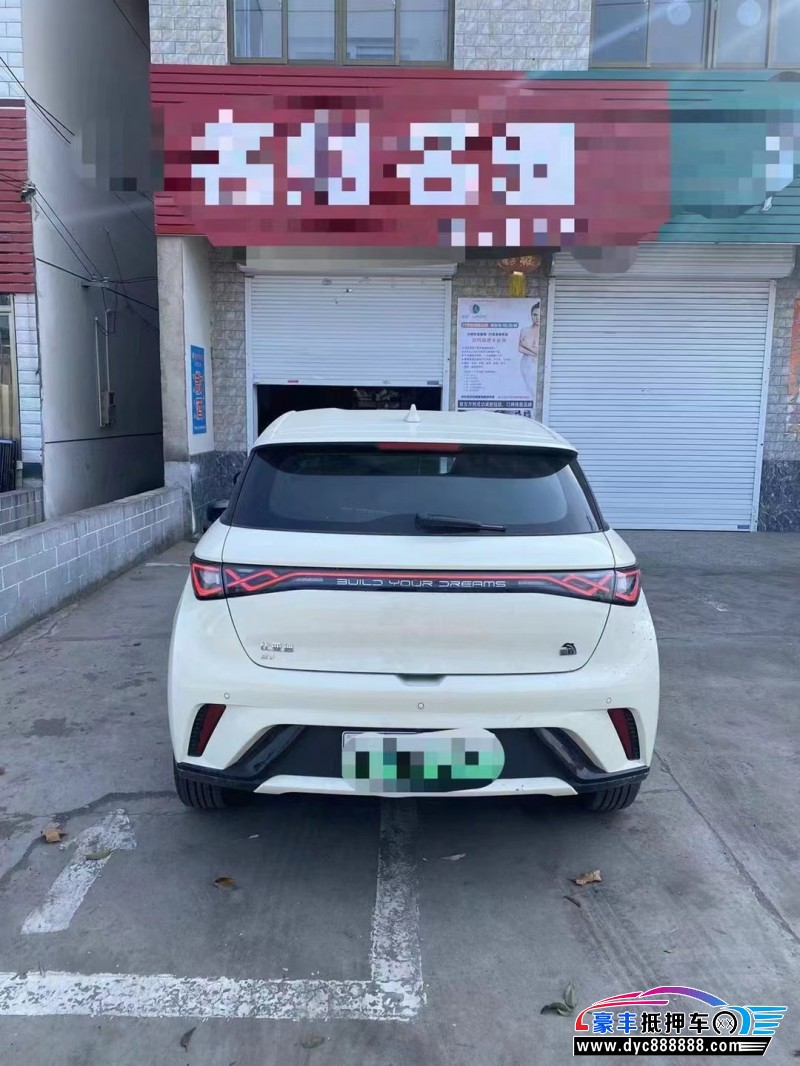 23年比亚迪海豚轿车抵押车出售