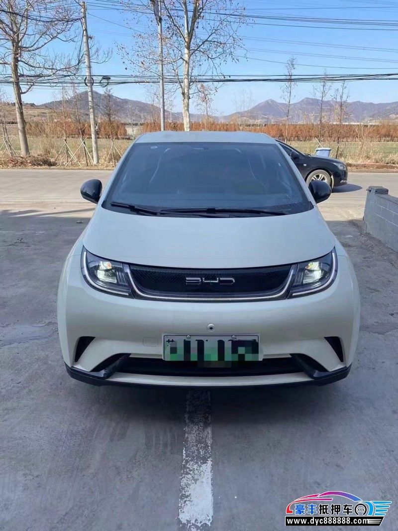 23年比亚迪海豚轿车抵押车出售