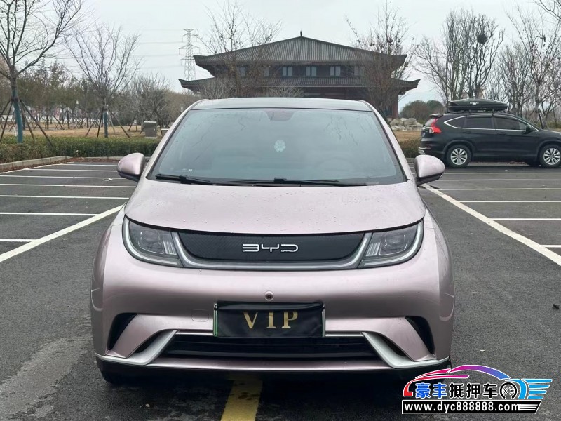 22年比亚迪海豚轿车抵押车出售