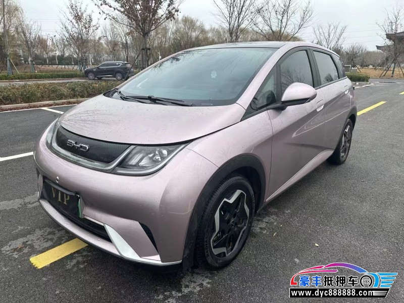 22年比亚迪海豚轿车抵押车出售