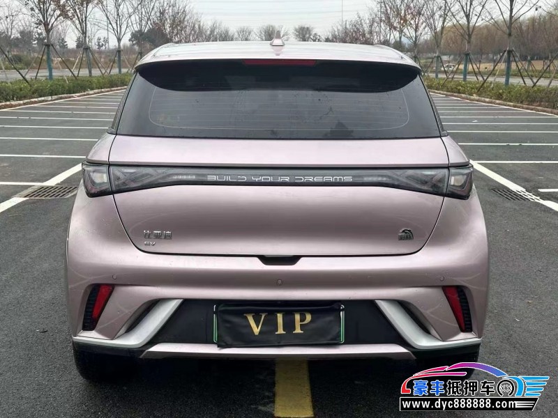 22年比亚迪海豚轿车抵押车出售