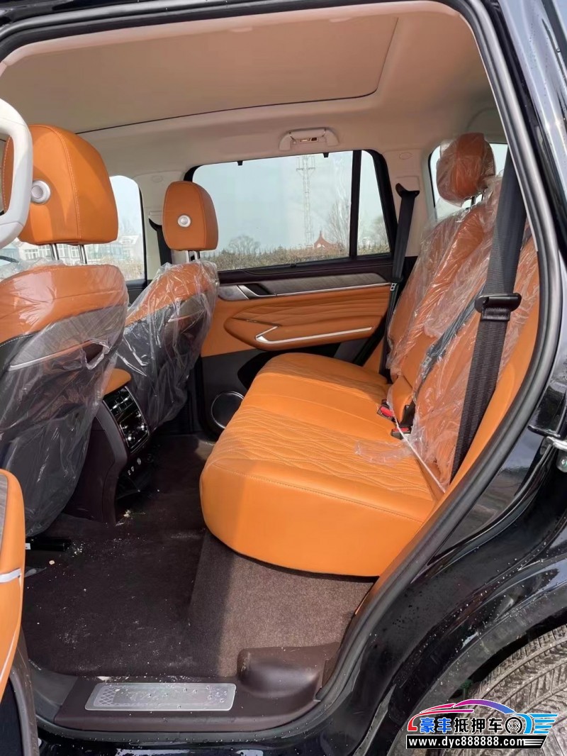 24年WEY坦克500轿车抵押车出售