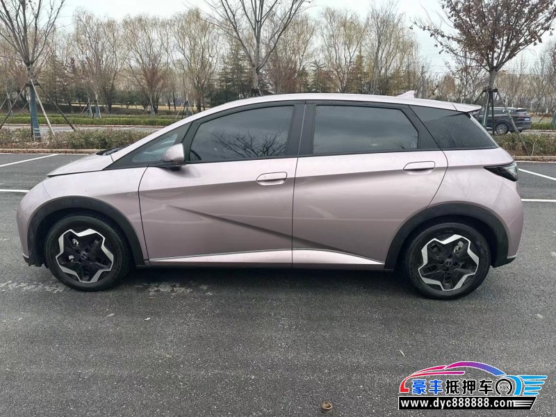 22年比亚迪海豚SUV抵押车出售