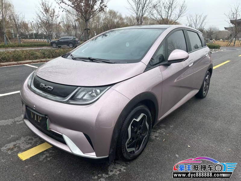 22年比亚迪海豚SUV抵押车出售