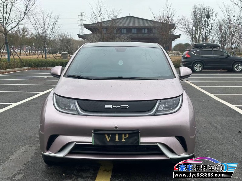 22年比亚迪海豚SUV抵押车出售