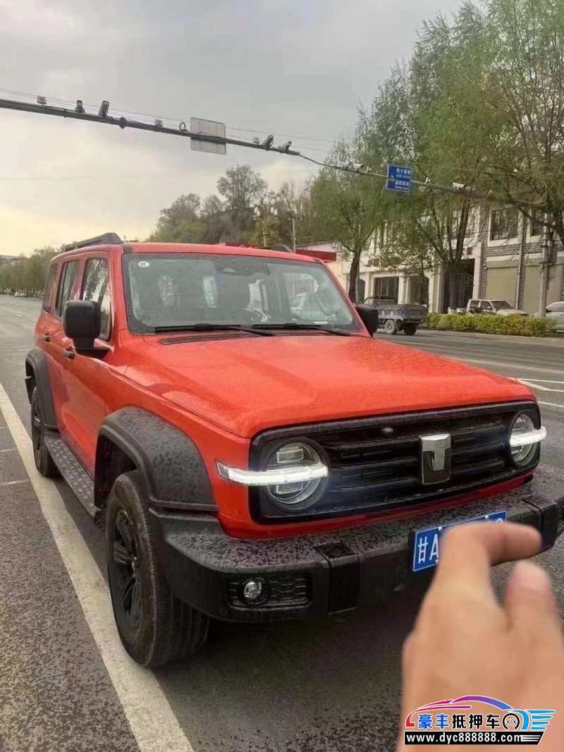 24年WEY坦克300轿车抵押车出售