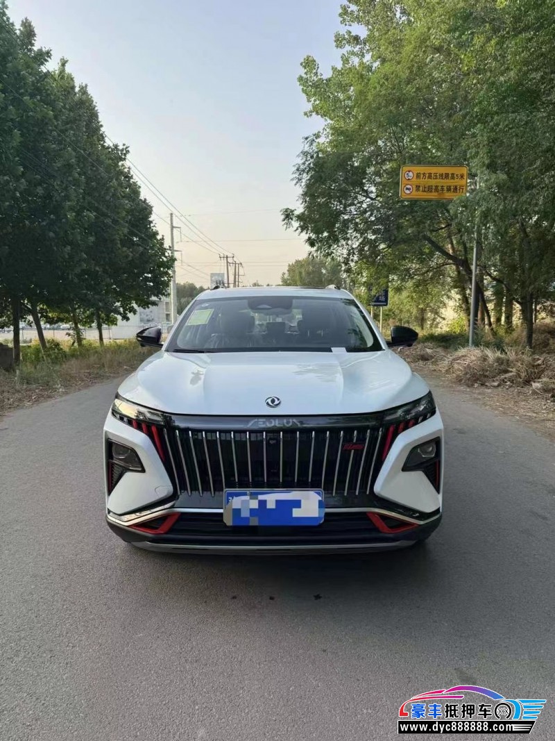 24年东风风神皓极轿车抵押车出售