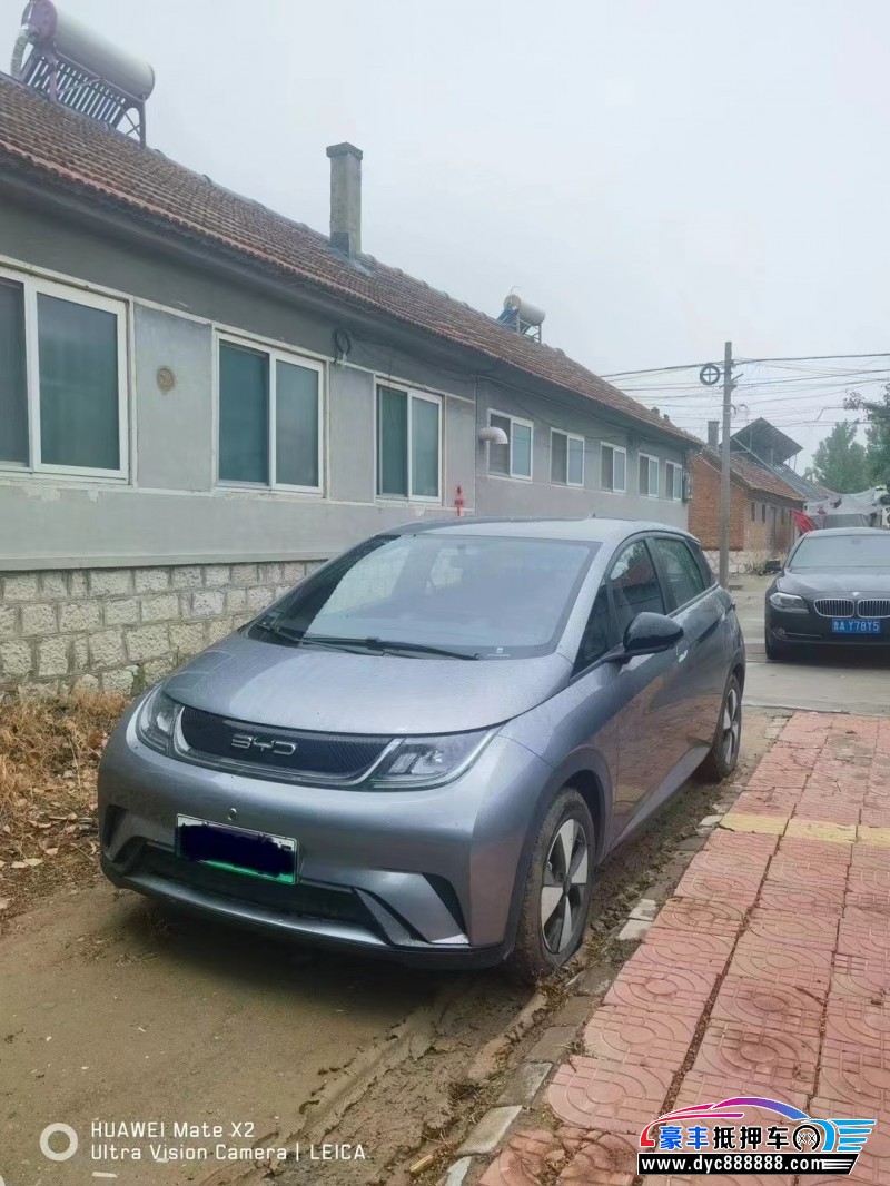 24年比亚迪海豚轿车抵押车出售