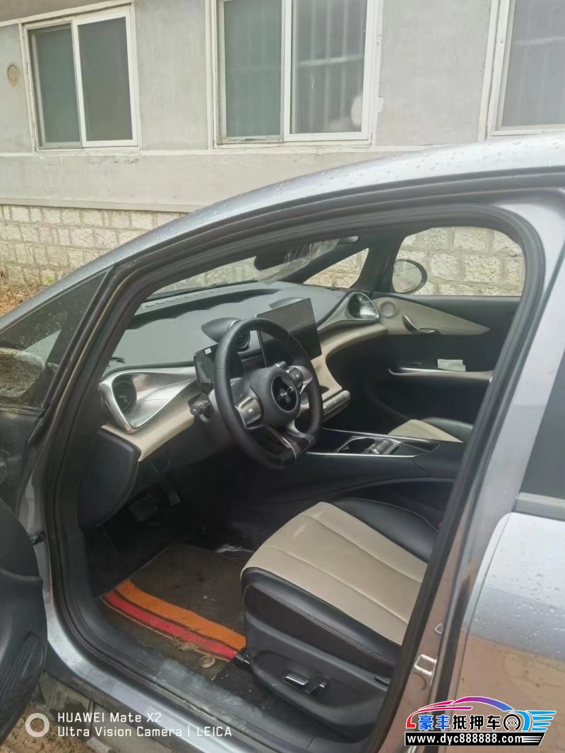 24年比亚迪海豚轿车抵押车出售