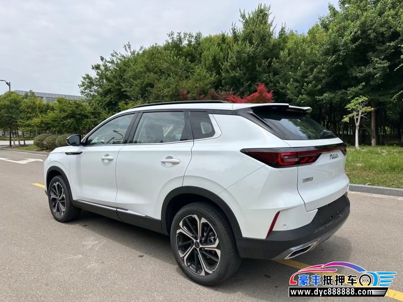 24年东风风神皓极轿车抵押车出售