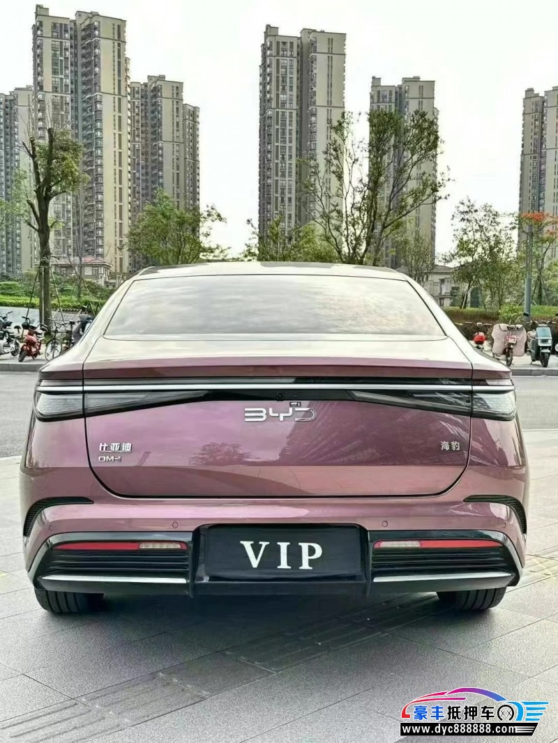 23年比亚迪海豚轿车抵押车出售