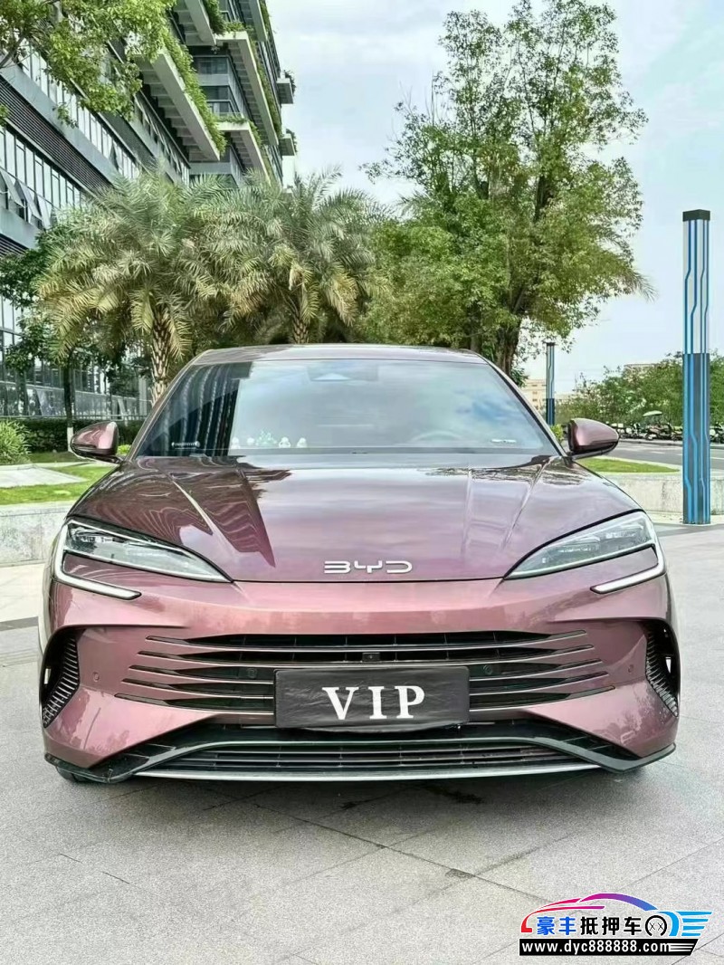 23年比亚迪海豚轿车抵押车出售