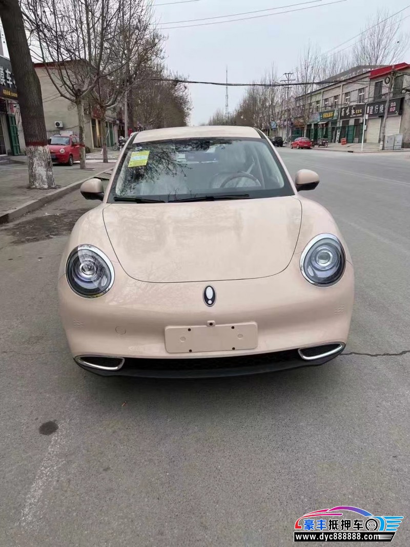 24年欧拉好猫轿车抵押车出售