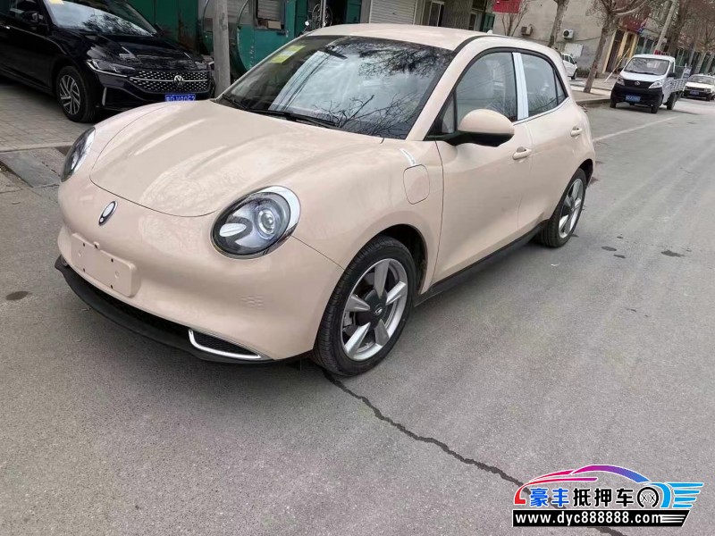 24年欧拉好猫轿车抵押车出售