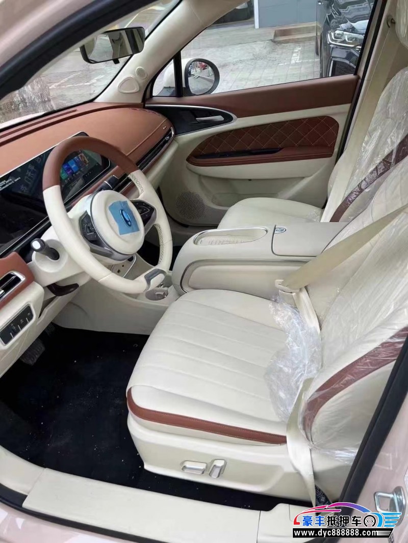 24年欧拉好猫轿车抵押车出售