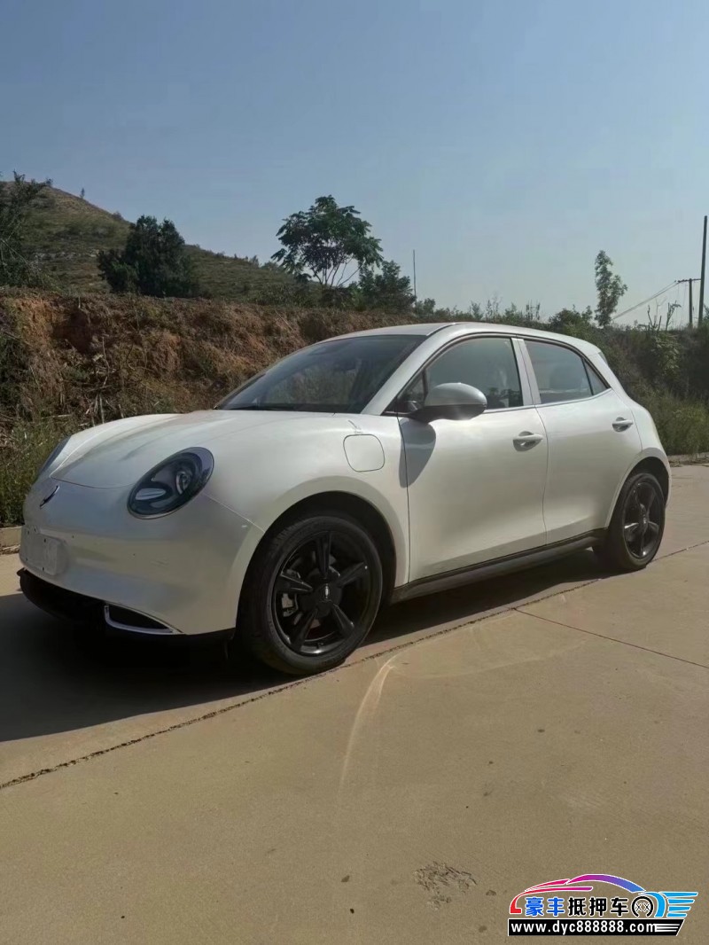 24年欧拉好猫轿车抵押车出售