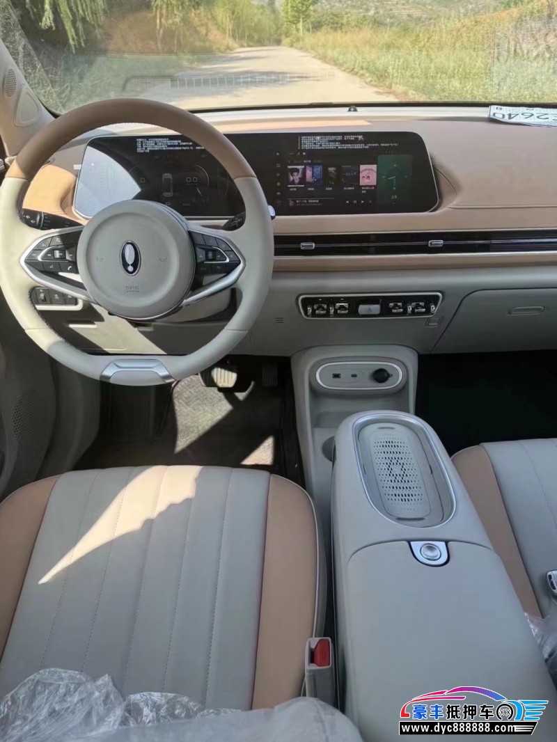 24年欧拉好猫轿车抵押车出售