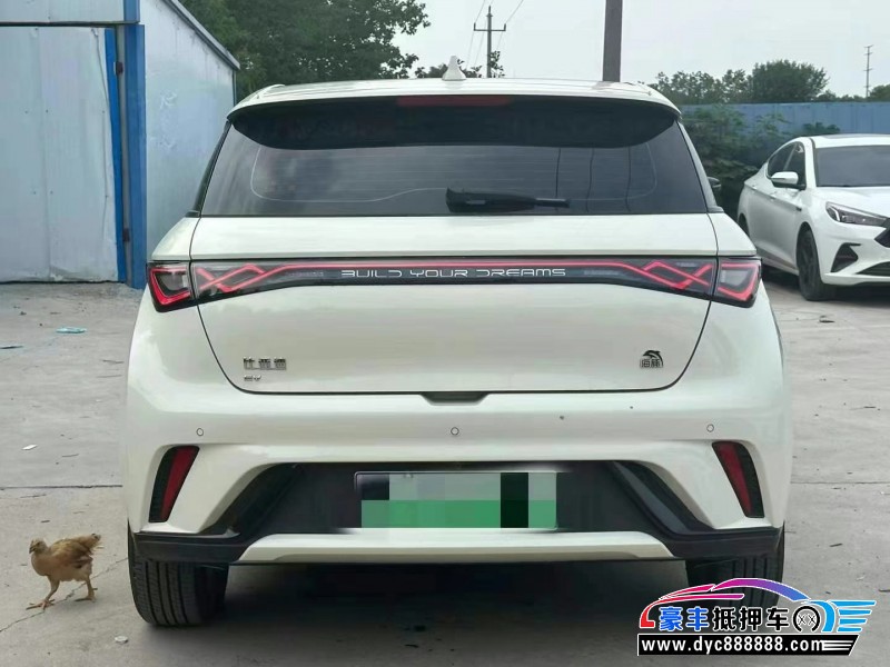 24年比亚迪海豚轿车抵押车出售