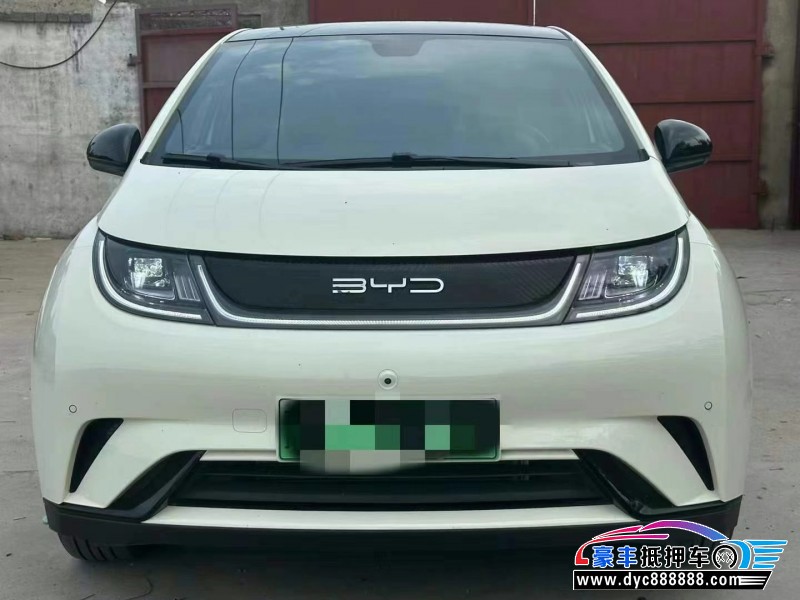 24年比亚迪海豚轿车抵押车出售