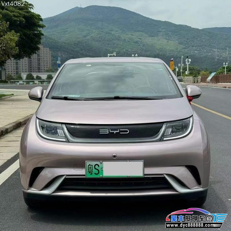 24年比亚迪海豚轿车抵押车出售