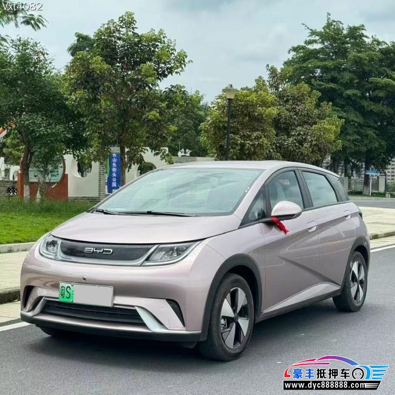 24年比亚迪海豚轿车抵押车出售