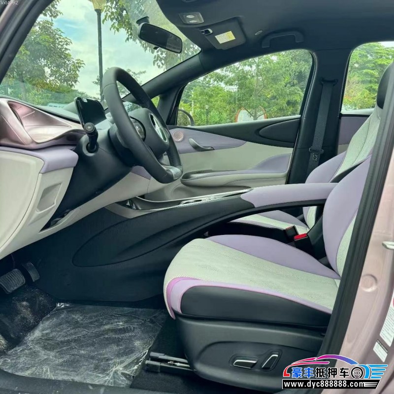 24年比亚迪海豚轿车抵押车出售