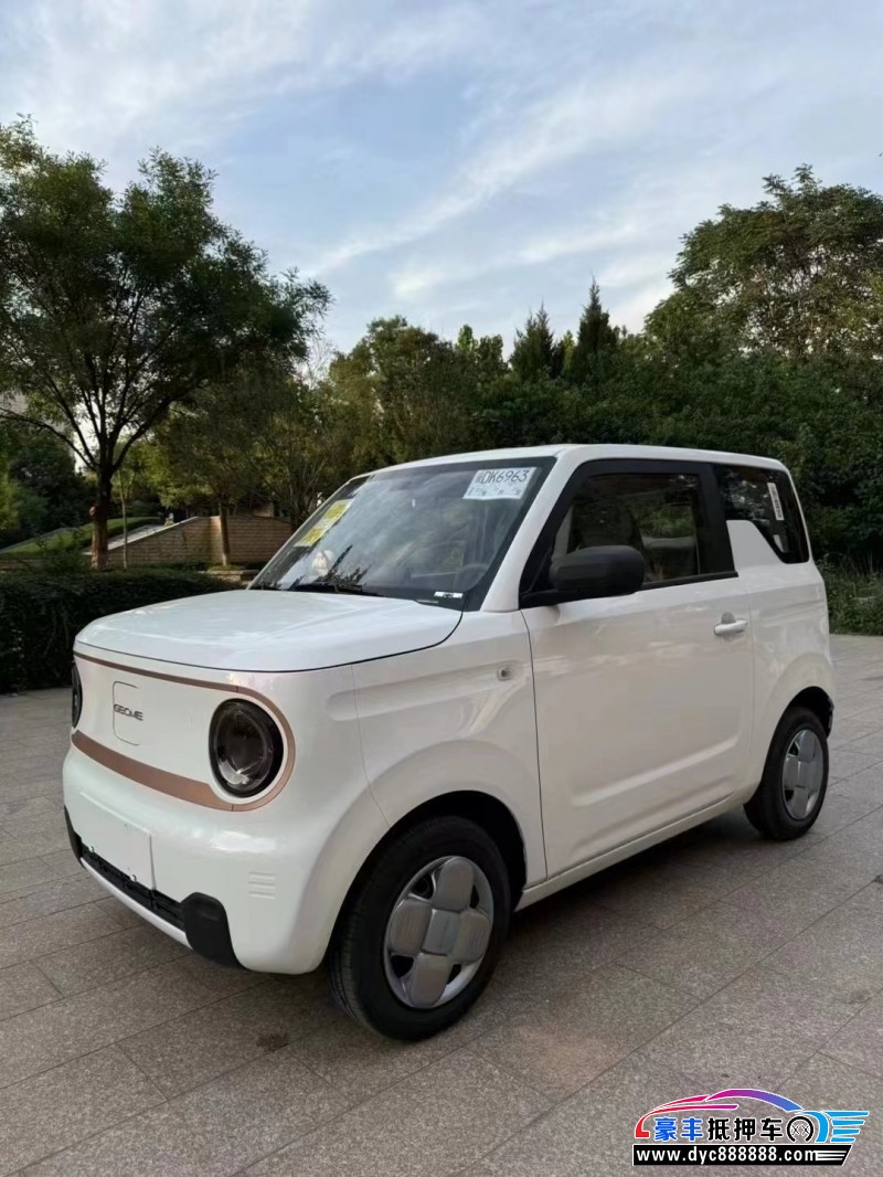 24年吉利熊猫轿车抵押车出售