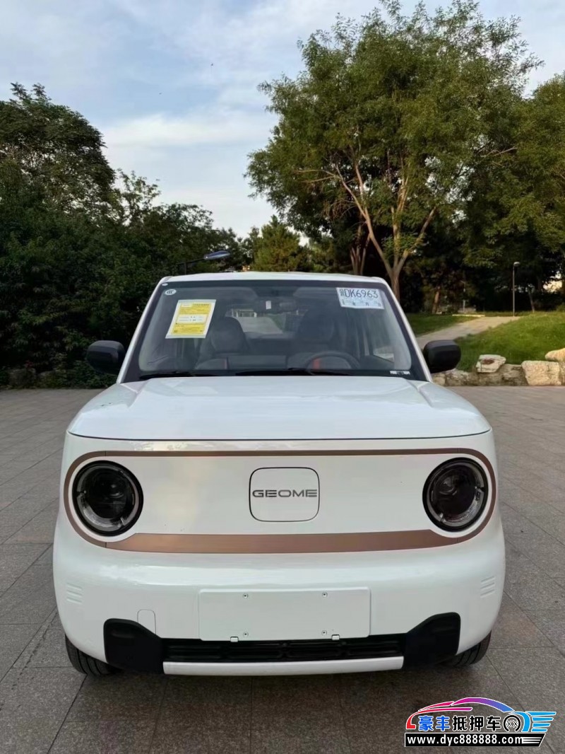 24年吉利熊猫轿车抵押车出售