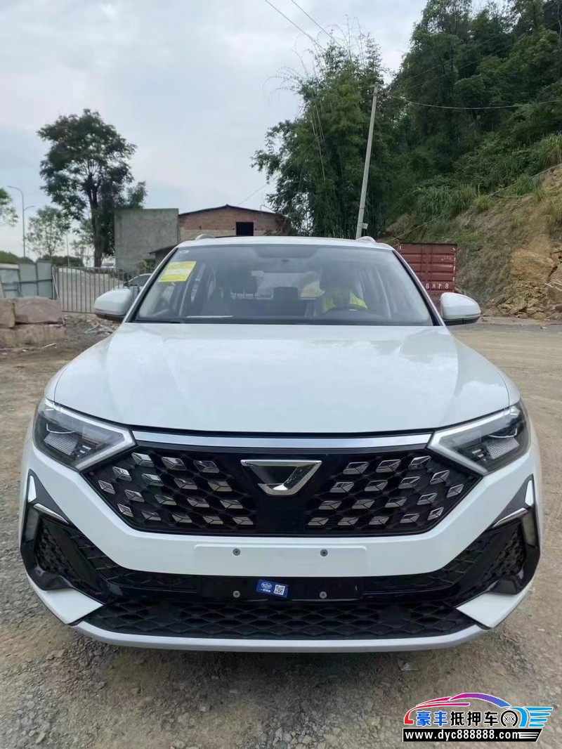 24年大众捷达轿车抵押车出售