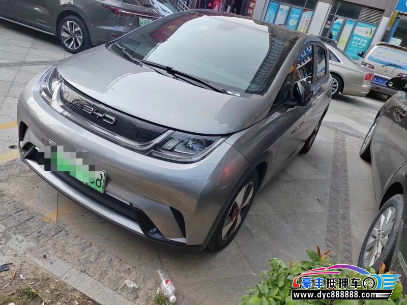 24年比亚迪海豚轿车抵押车出售