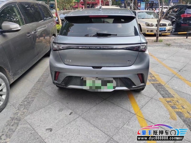 24年比亚迪海豚轿车抵押车出售