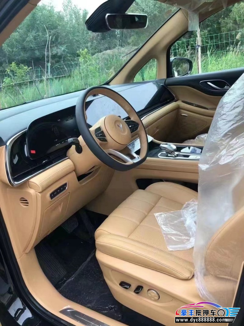 24年岚图梦想家轿车抵押车出售