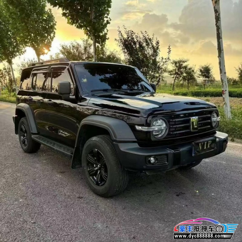 24年WEY坦克300轿车抵押车出售