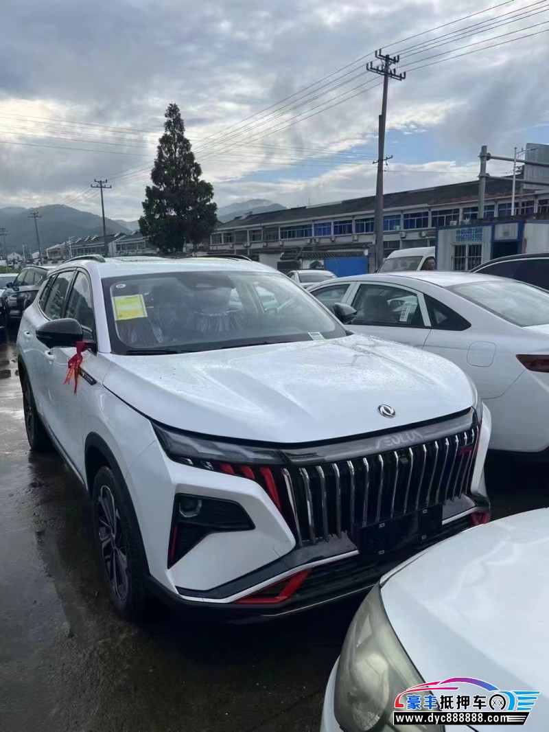 24年东风风神皓极轿车抵押车出售