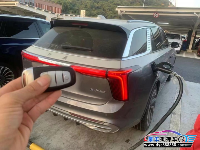 21年红旗E-HS9轿车抵押车出售