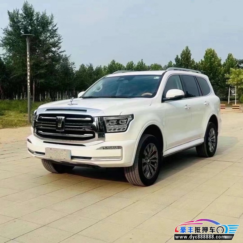 22年WEY坦克500轿车抵押车出售