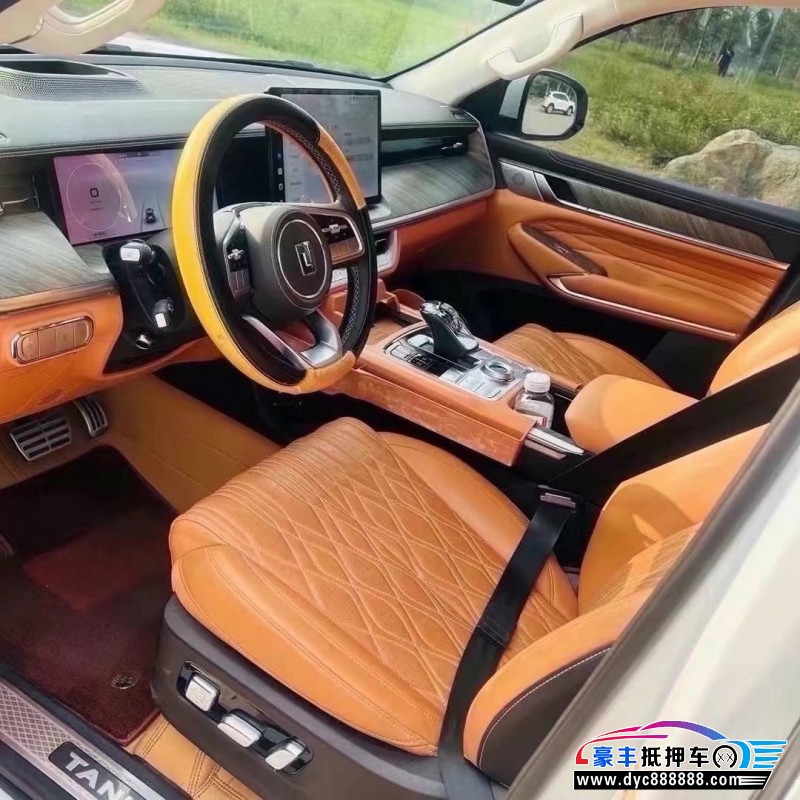 22年WEY坦克500轿车抵押车出售