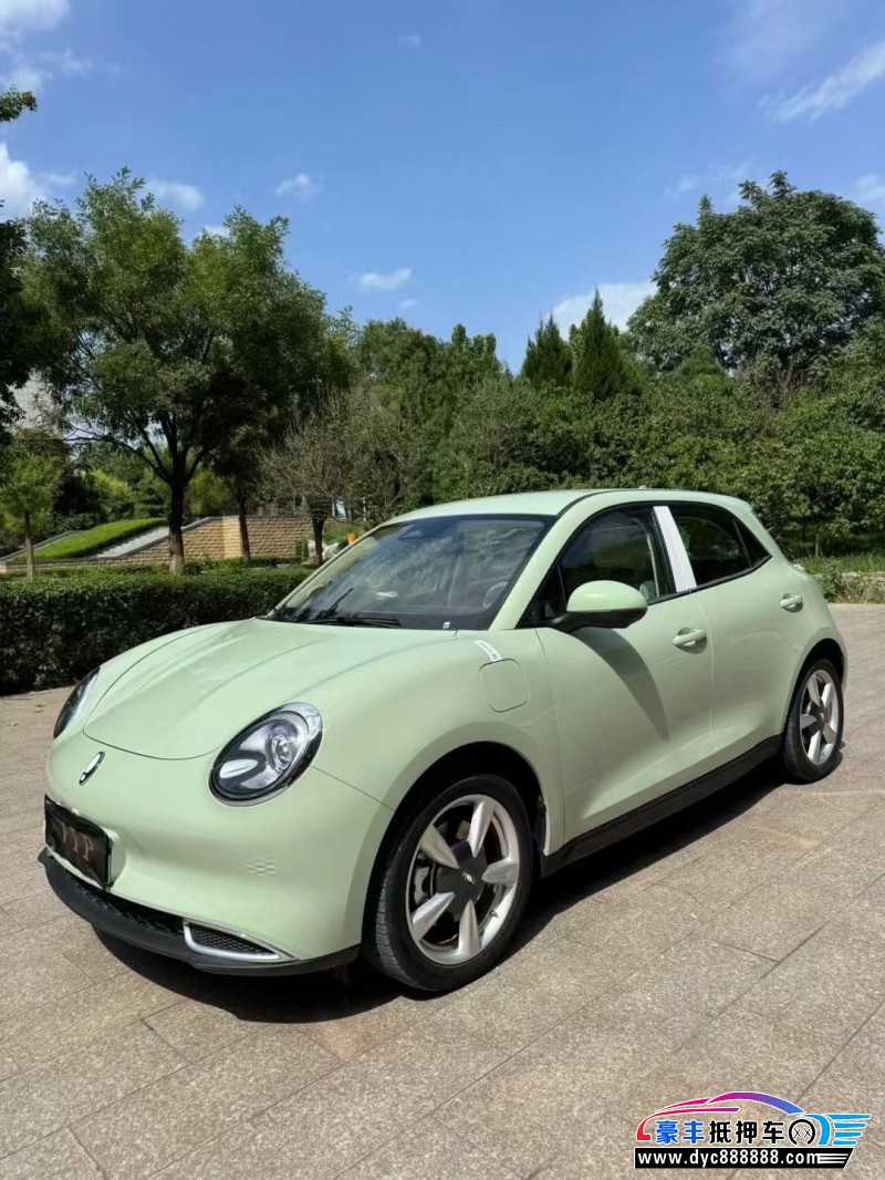 24年欧拉好猫轿车抵押车出售