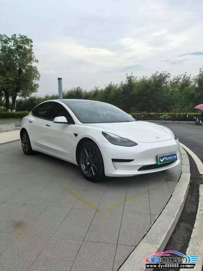 23年特斯拉MODEL 3轿车抵押车出售