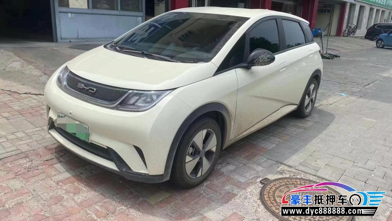 23年比亚迪海豚轿车抵押车出售