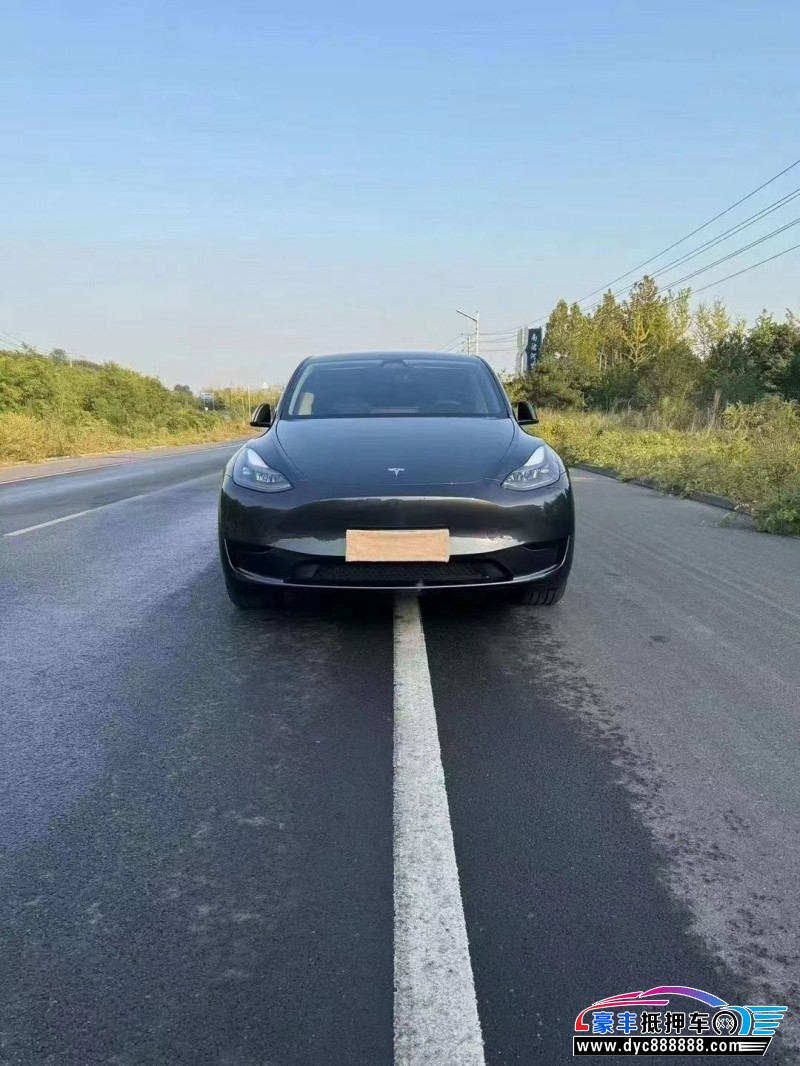 24年特斯拉Model Y轿车抵押车出售