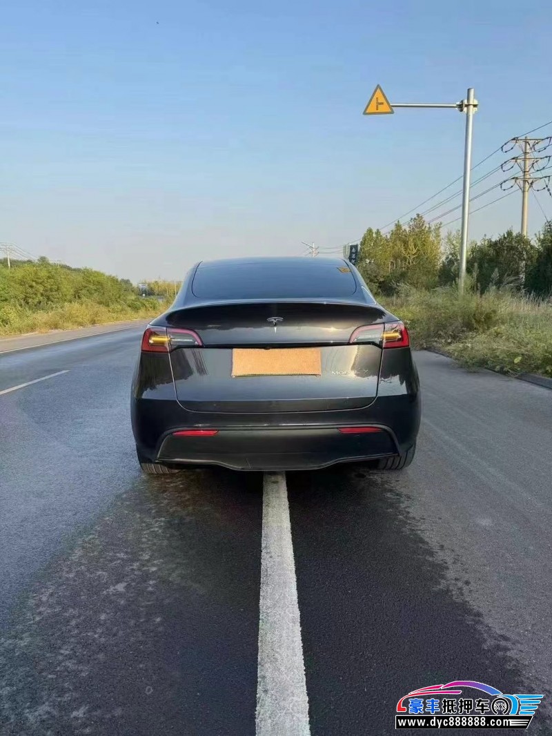 24年特斯拉Model Y轿车抵押车出售