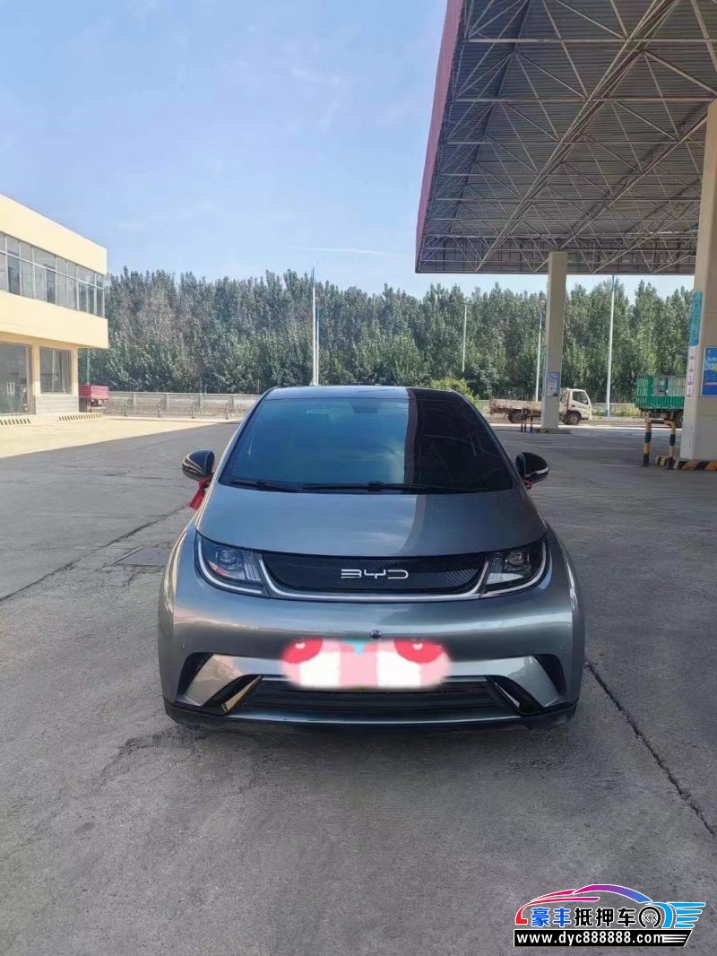 24年比亚迪海豚轿车抵押车出售
