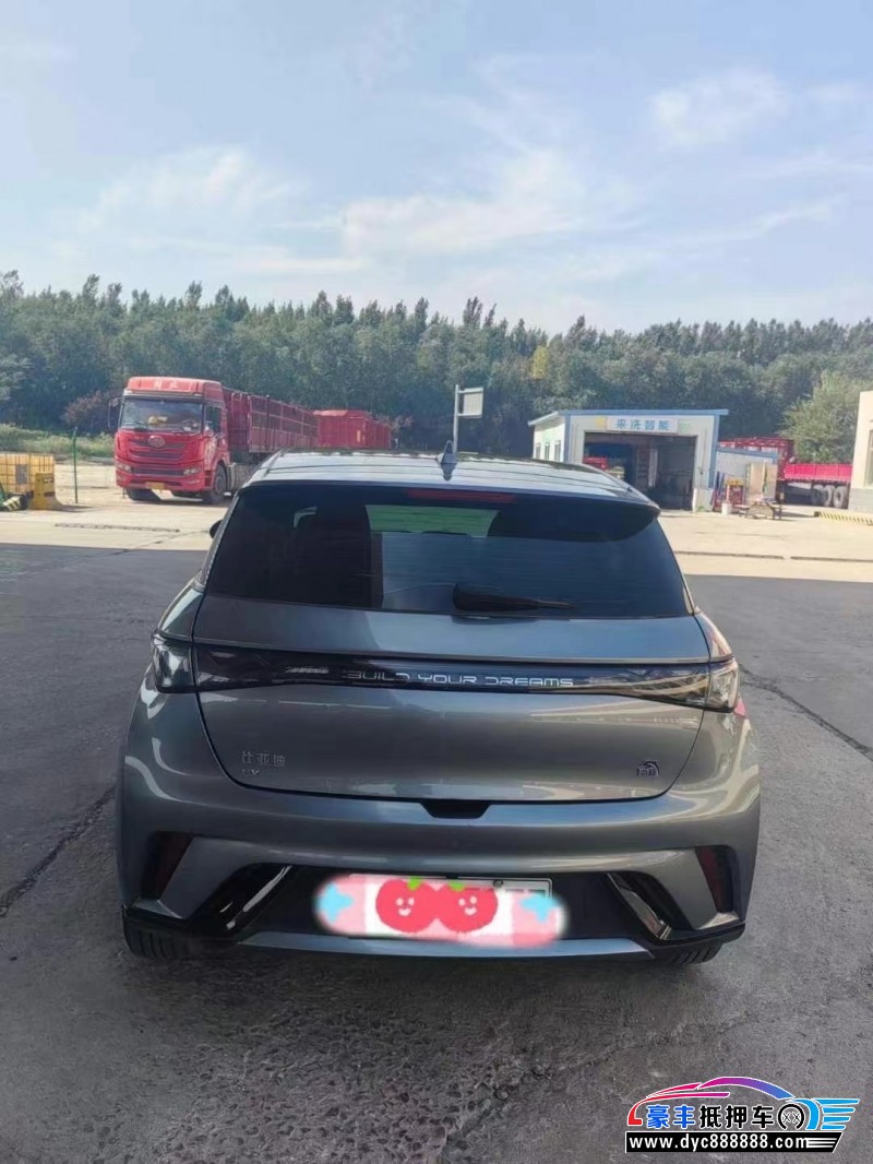 24年比亚迪海豚轿车抵押车出售